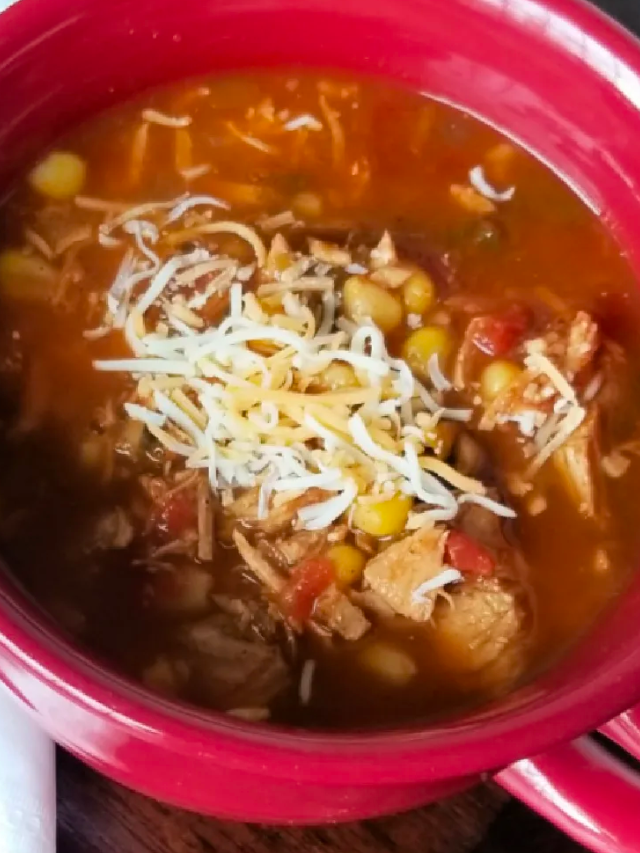 Slow Cooker Chicken Tortilla Soup Story