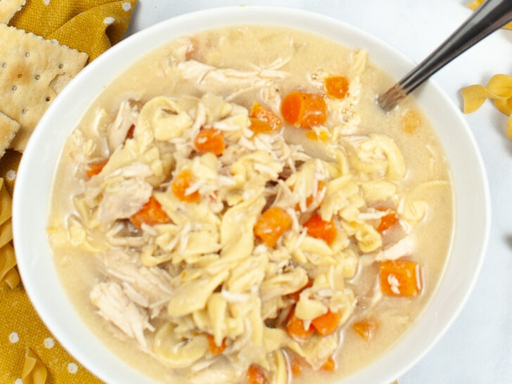 turkey noodle soup in white bowl