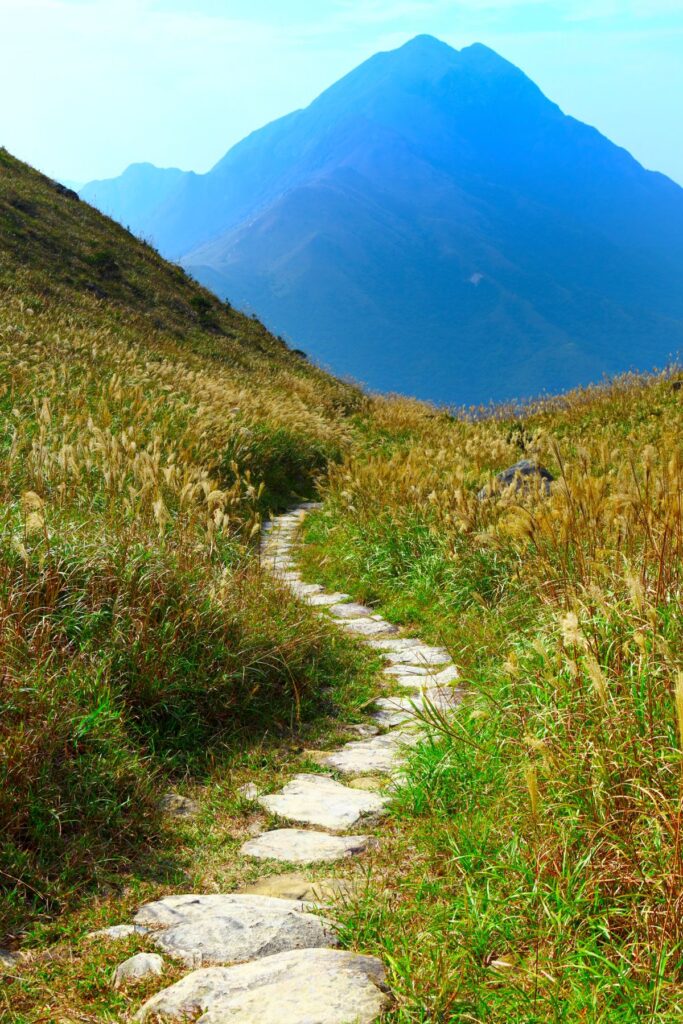 path on side of mountain - save money on flights for family travel
