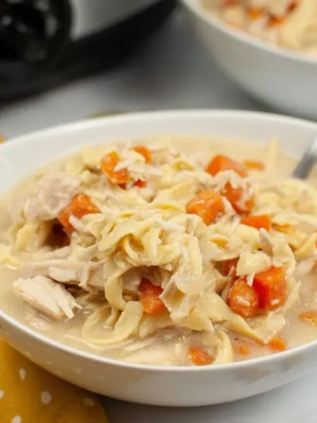 Slow Cooker Turkey Noodle Soup Story