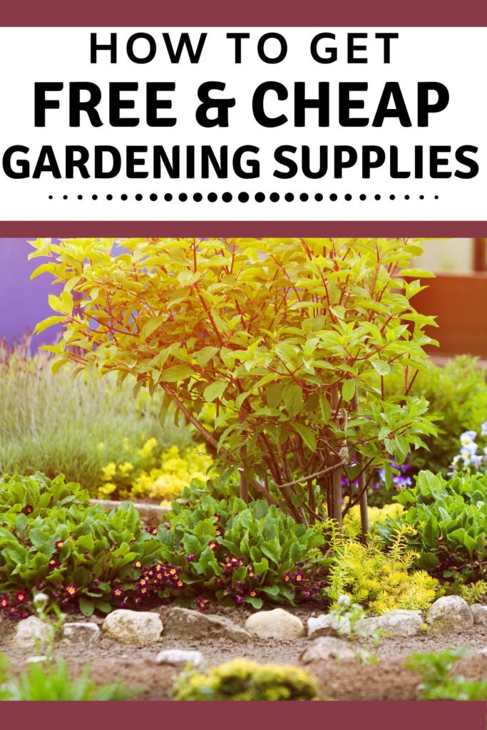 how to get free and cheap gardening supplies