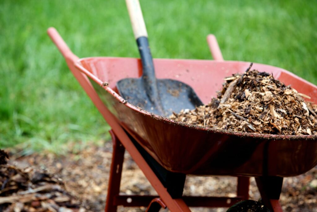 mulch in wheelbarrow with shovel