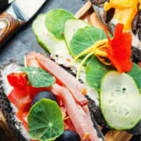 Healthy Summer Appetizers-Cover image