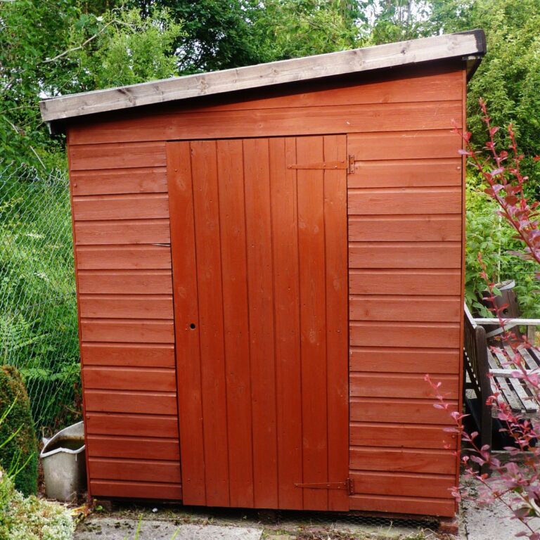 old shed in backyard