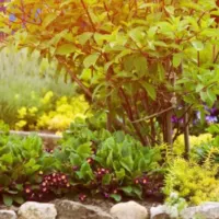 Get Gardening Supplies for Free-Cover image