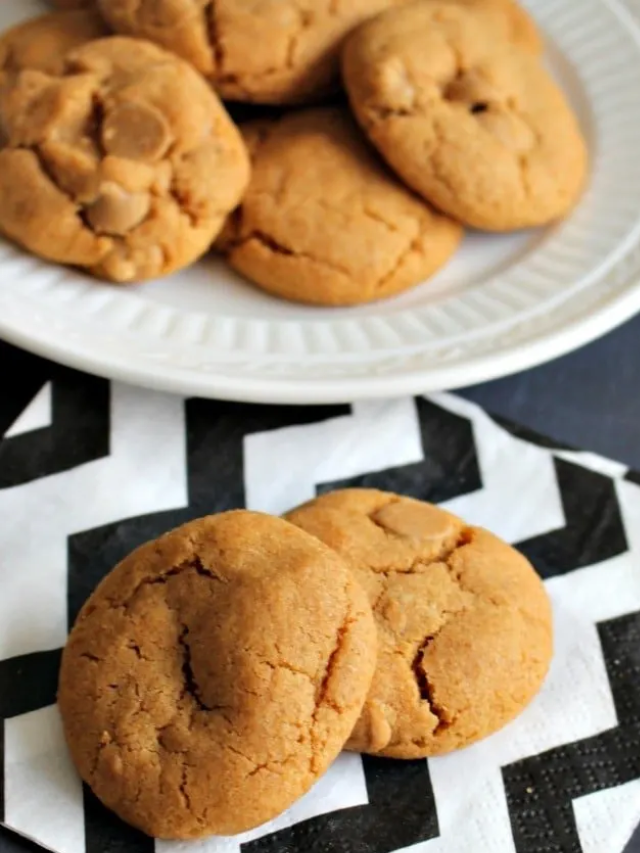 Double Butterscotch Cookies Story