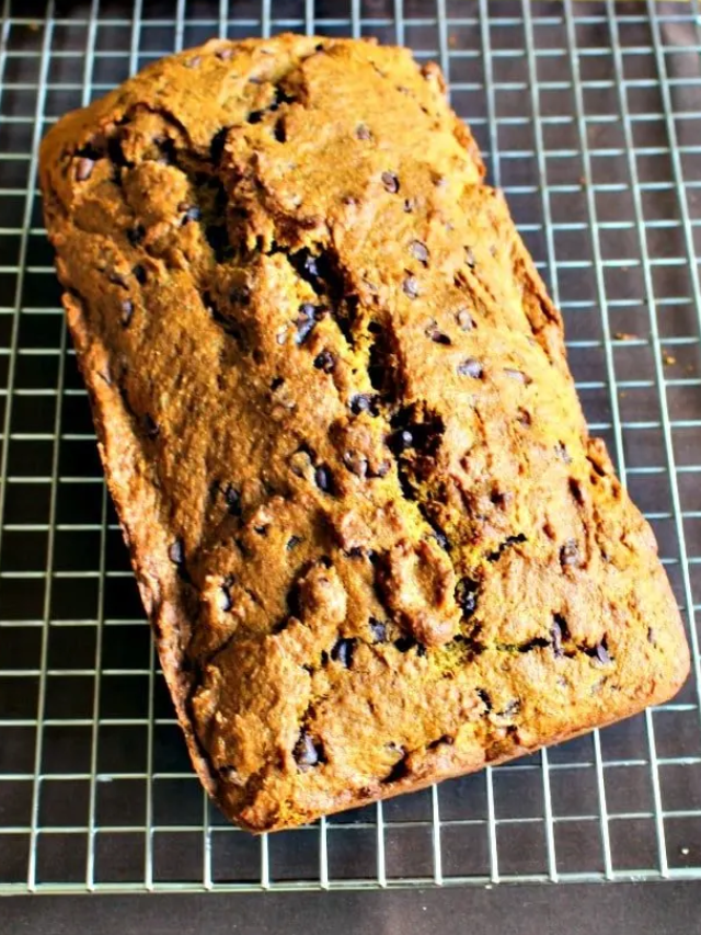 Pumpkin Chocolate Chip Bread Recipe Story