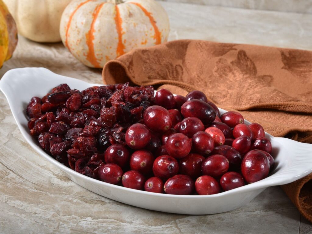 dried and fresh cranberries in white bowl on fall table