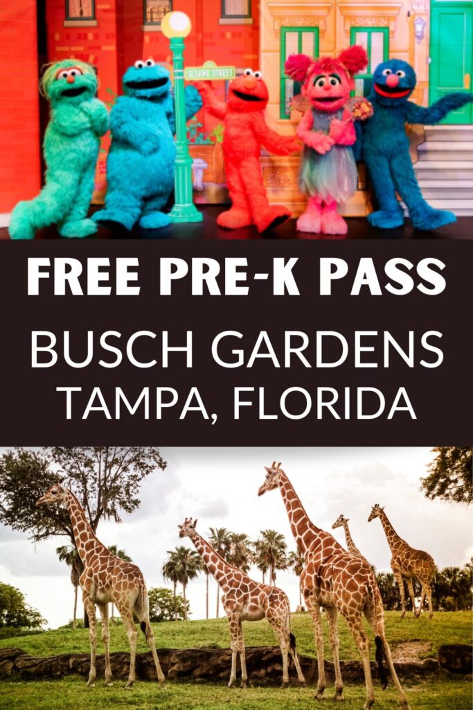 Sesame Street characters and giraffes at Busch Gardens Tampa Florida